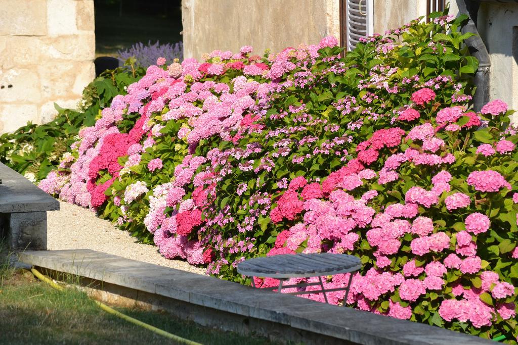La Maison Du Potager De Mazieres Sainte-Solange Екстер'єр фото