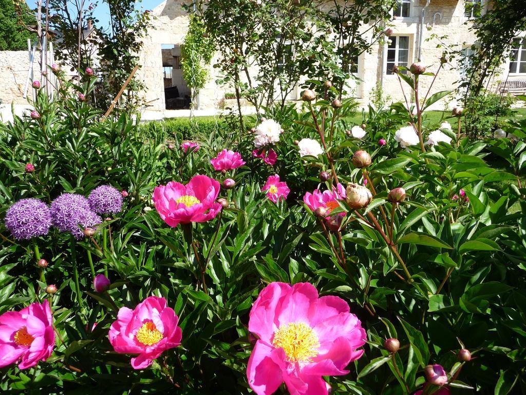 La Maison Du Potager De Mazieres Sainte-Solange Екстер'єр фото